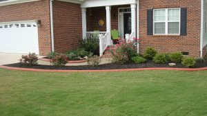 Natures Decorative Landscape Curbing Ideas