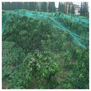 Netting Bedes Landscape