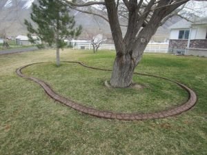 Picture Decorative Landscape Curbing Ideas