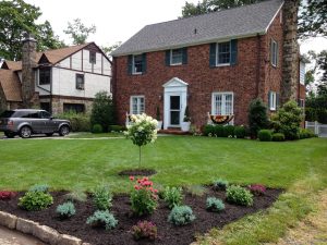 Simple Curbside Landscape Ideas