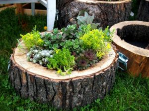 Using Tree Logs In Landscaping