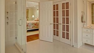 Popular Closet French Doors